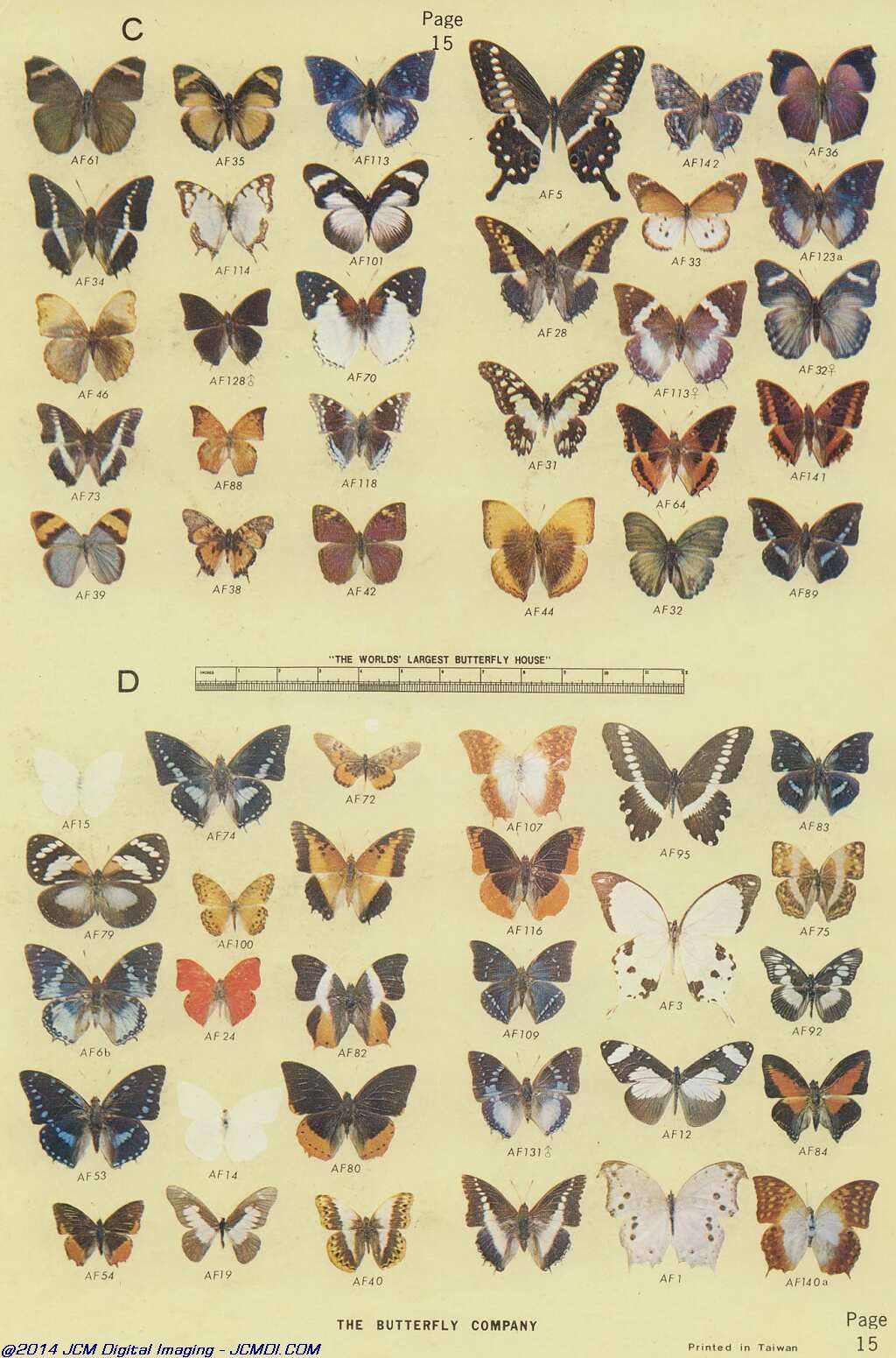 The Butterfly Company (NY) 18 page catalog 1976